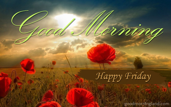 Happy Friday Design Good Morning Images, Quotes, Wishes, Messages, greetings & eCards